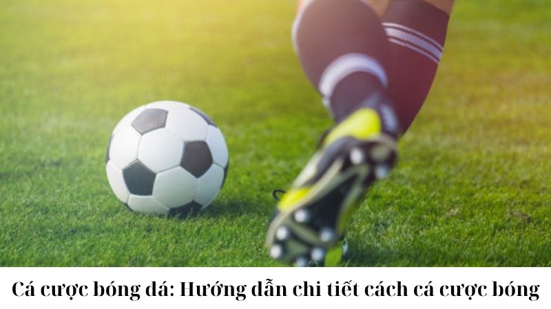 Giới thiệu tổng quan về cá cược bóng đá